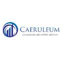 Caeruleum Commercial Real Estate Lending  logo